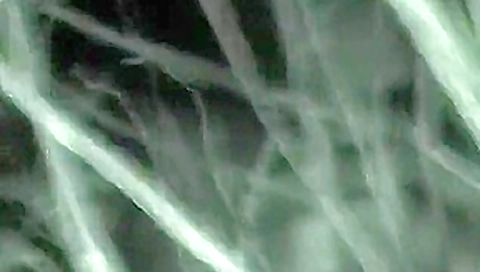 CLIP #283 _ Voyeurismo Public Sex CLIP #283 _ Voyeurismo Public Sex