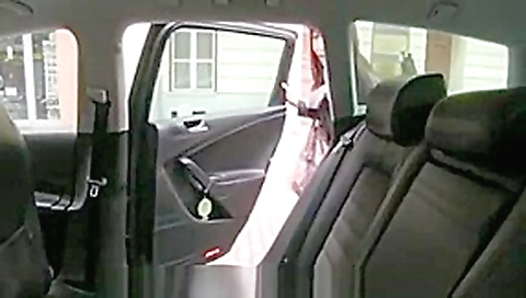Fake taxi - Marica hase