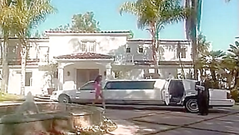 Tera Patrick Rides The Chauffeur's Penis