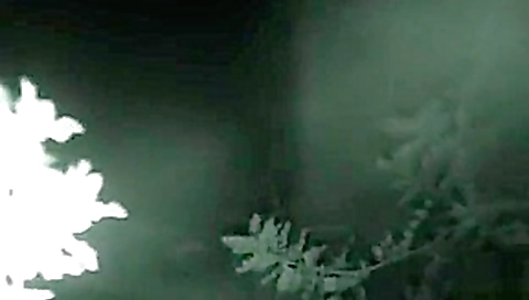 Ricky Johnson Porn Videos