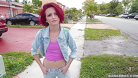 New Subscribers