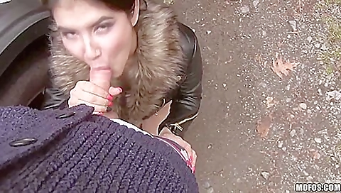 Czech Honeys Roadside Sex Tape - Lady Dee