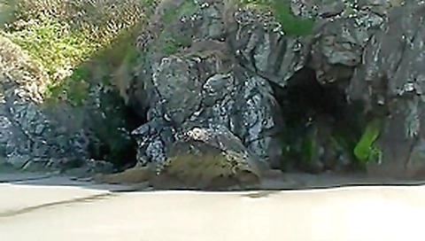 Rafians Beach Safaris 16